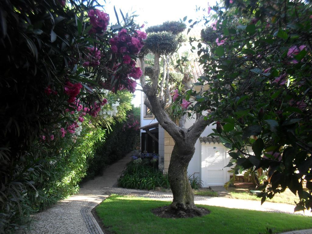 Luzmar Villas Dış mekan fotoğraf